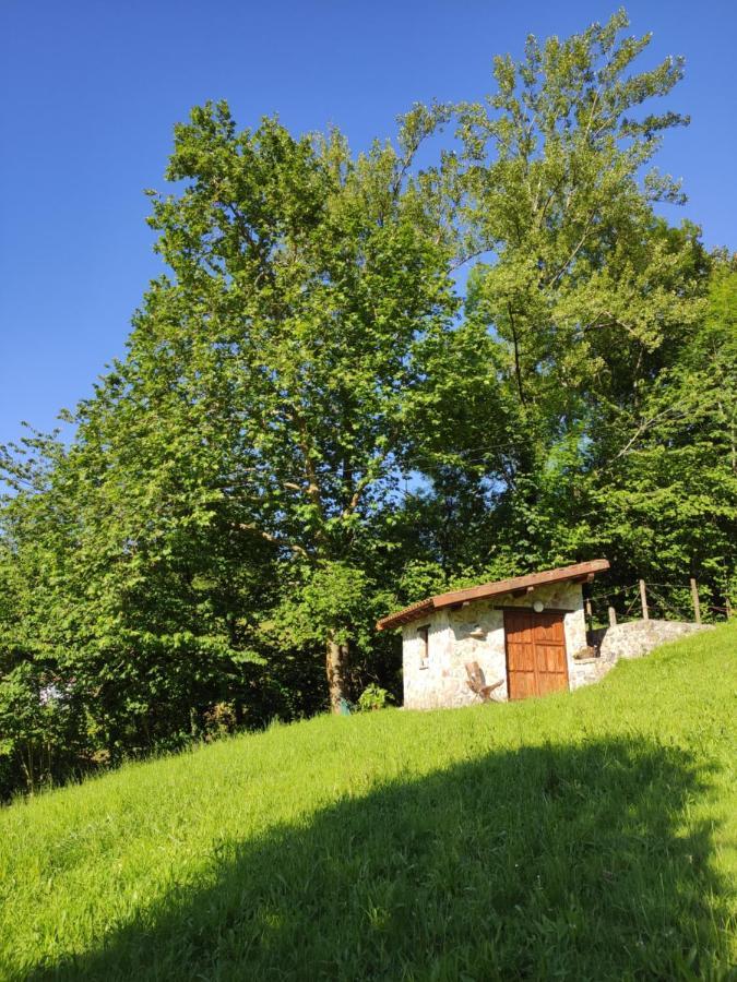 Apartamentos Rurales La Caviana กังกัส เด โอนิส ภายนอก รูปภาพ