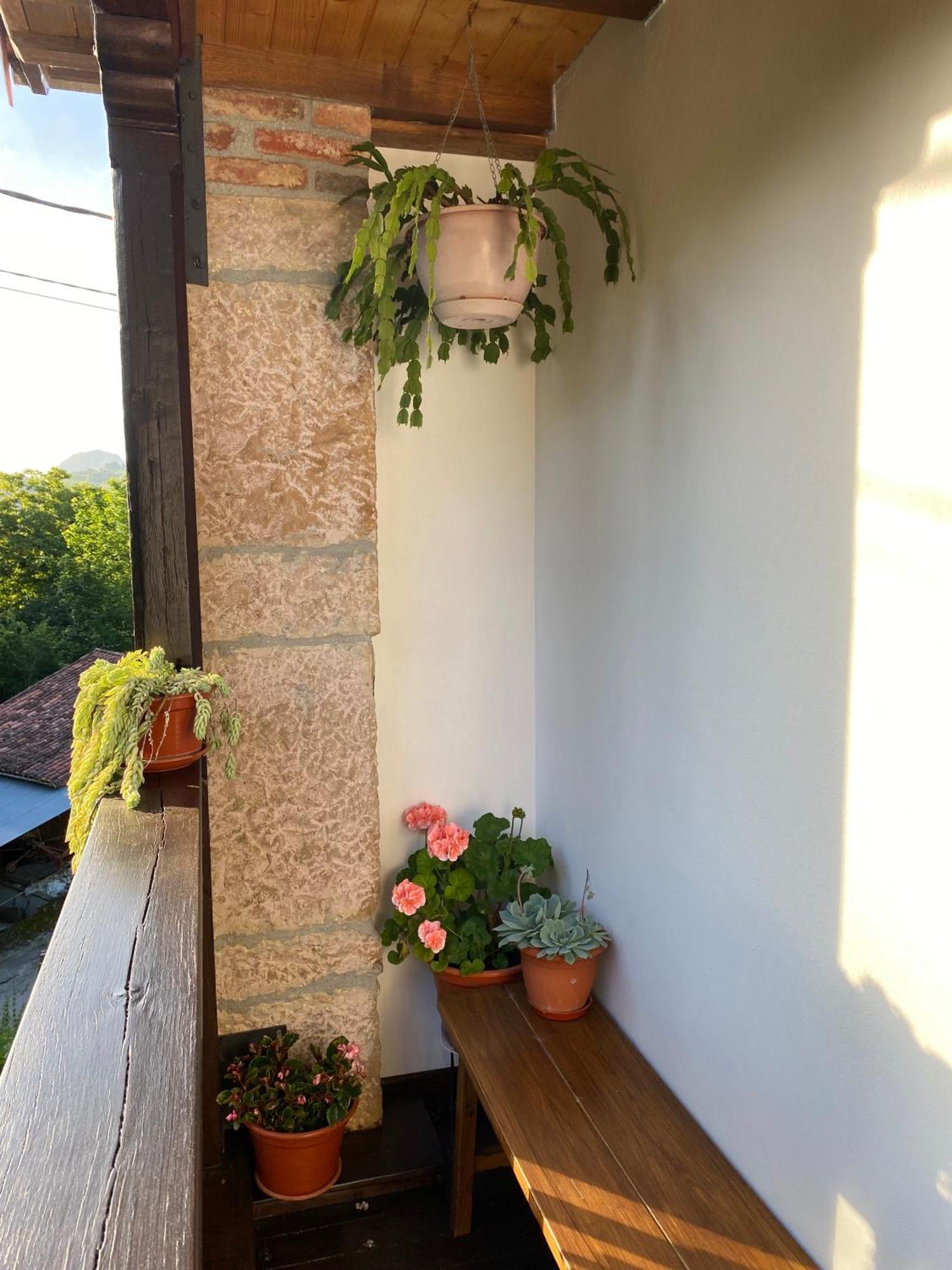Apartamentos Rurales La Caviana กังกัส เด โอนิส ภายนอก รูปภาพ