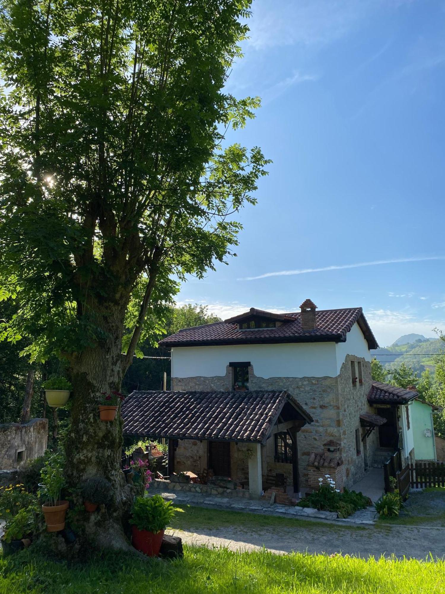 Apartamentos Rurales La Caviana กังกัส เด โอนิส ภายนอก รูปภาพ
